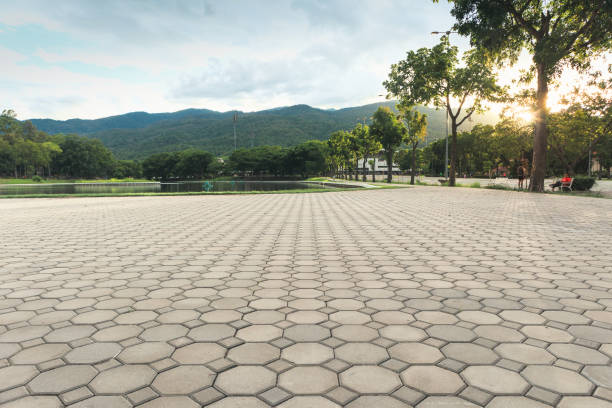 Best Decorative Driveway Paving in Christopher, IL